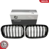 Kühlergitter beidseitig ESEN SKV 66SKV252