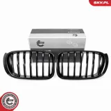 Kühlergitter ESEN SKV 66SKV254