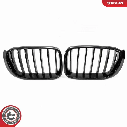 Kühlergitter ESEN SKV 66SKV254 Bild Kühlergitter ESEN SKV 66SKV254