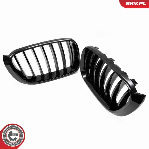 Kühlergitter ESEN SKV 66SKV254 Bild Kühlergitter ESEN SKV 66SKV254