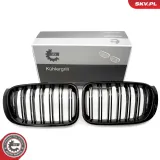 Kühlergitter beidseitig ESEN SKV 66SKV255
