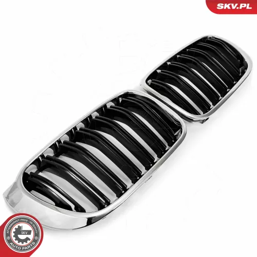 Kühlergitter beidseitig ESEN SKV 66SKV256 Bild Kühlergitter beidseitig ESEN SKV 66SKV256