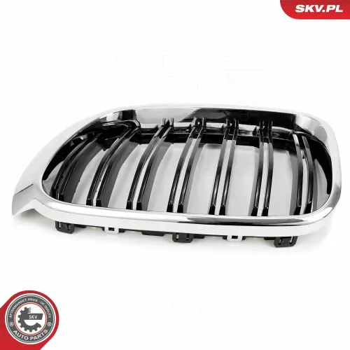 Kühlergitter beidseitig ESEN SKV 66SKV256 Bild Kühlergitter beidseitig ESEN SKV 66SKV256