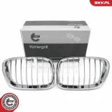 Kühlergitter beidseitig ESEN SKV 66SKV272