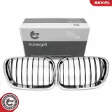 Kühlergitter beidseitig ESEN SKV 66SKV273