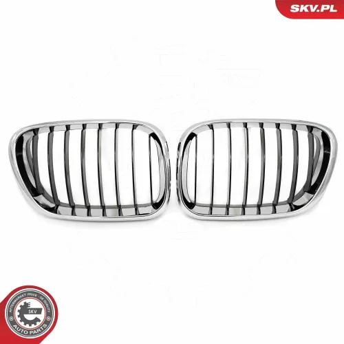 Kühlergitter beidseitig ESEN SKV 66SKV273 Bild Kühlergitter beidseitig ESEN SKV 66SKV273