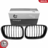 Kühlergitter beidseitig ESEN SKV 66SKV274