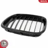 Kühlergitter beidseitig ESEN SKV 66SKV274 Bild Kühlergitter beidseitig ESEN SKV 66SKV274