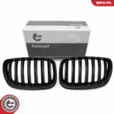 Kühlergitter beidseitig ESEN SKV 66SKV278