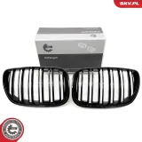 Kühlergitter beidseitig ESEN SKV 66SKV281