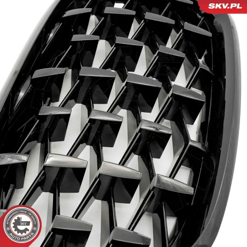 Kühlergitter beidseitig ESEN SKV 66SKV291 Bild Kühlergitter beidseitig ESEN SKV 66SKV291