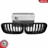 Kühlergitter beidseitig ESEN SKV 66SKV294