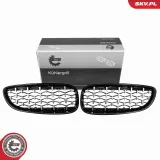 Kühlergitter ESEN SKV 66SKV313