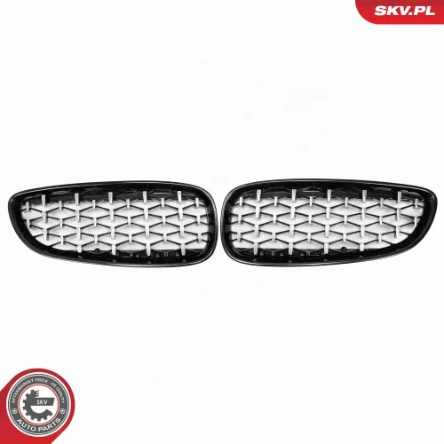 Kühlergitter ESEN SKV 66SKV313 Bild Kühlergitter ESEN SKV 66SKV313