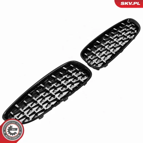 Kühlergitter ESEN SKV 66SKV313 Bild Kühlergitter ESEN SKV 66SKV313