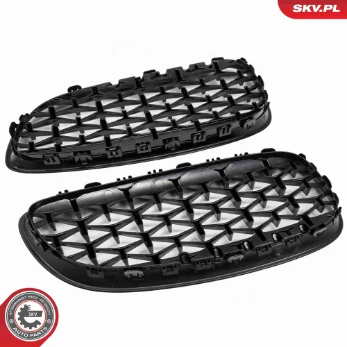 Kühlergitter ESEN SKV 66SKV313 Bild Kühlergitter ESEN SKV 66SKV313