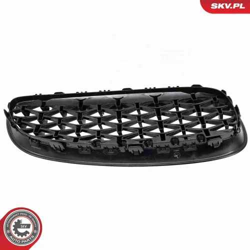 Kühlergitter ESEN SKV 66SKV313 Bild Kühlergitter ESEN SKV 66SKV313