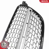Kühlergitter ESEN SKV 66SKV579 Bild Kühlergitter ESEN SKV 66SKV579