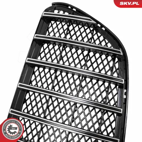 Kühlergitter ESEN SKV 66SKV617 Bild Kühlergitter ESEN SKV 66SKV617