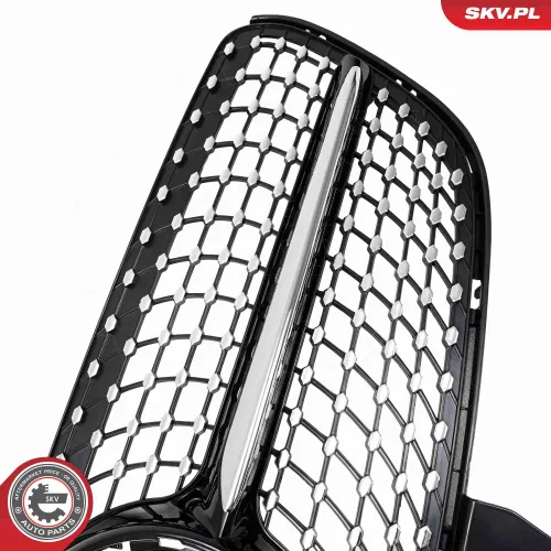 Kühlergitter ESEN SKV 66SKV618 Bild Kühlergitter ESEN SKV 66SKV618