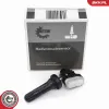 Radsensor, Reifendruck-Kontrollsystem ESEN SKV 70SKV021