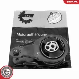 Lagerung, Motor beidseitig ESEN SKV 75SKV029