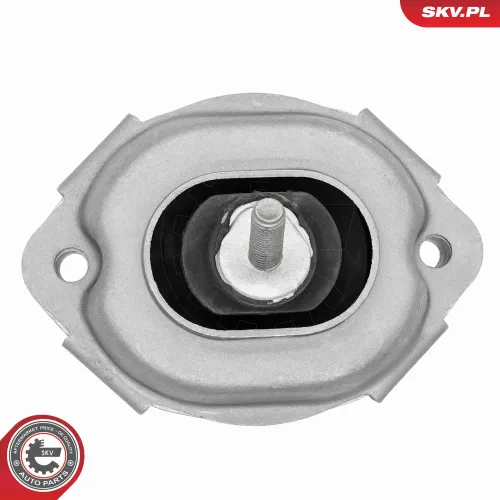 Lagerung, Motor beidseitig ESEN SKV 75SKV060 Bild Lagerung, Motor beidseitig ESEN SKV 75SKV060