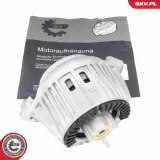 Lagerung, Motor vorne rechts ESEN SKV 75SKV066