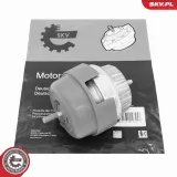 Lagerung, Motor links ESEN SKV 75SKV133