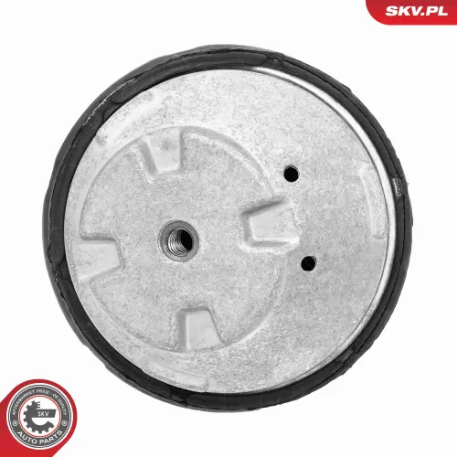 Lagerung, Motor vorne rechts ESEN SKV 75SKV168 Bild Lagerung, Motor vorne rechts ESEN SKV 75SKV168