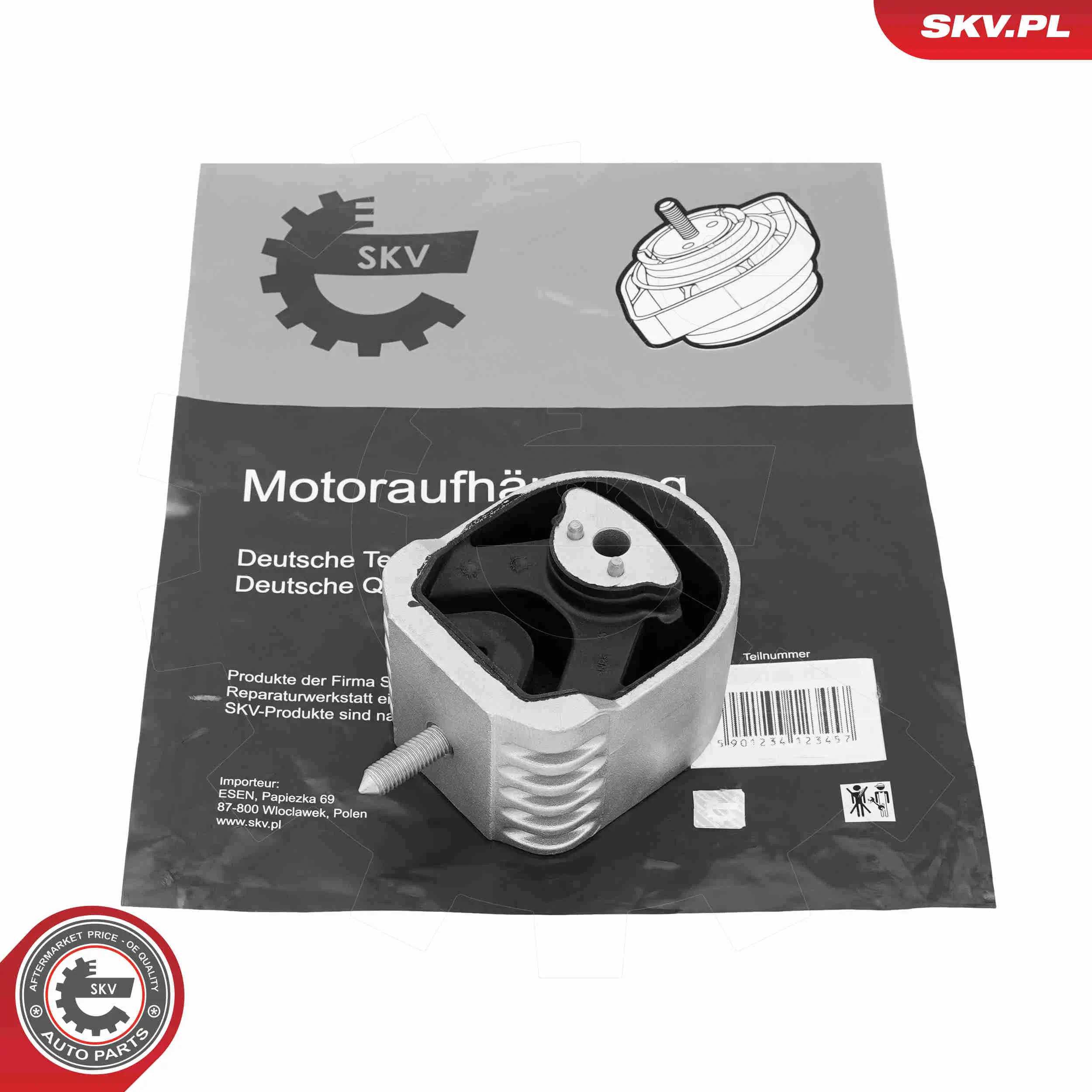 Lagerung, Motor beidseitig ESEN SKV 75SKV191