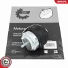 Lagerung, Motor vorne ESEN SKV 75SKV204