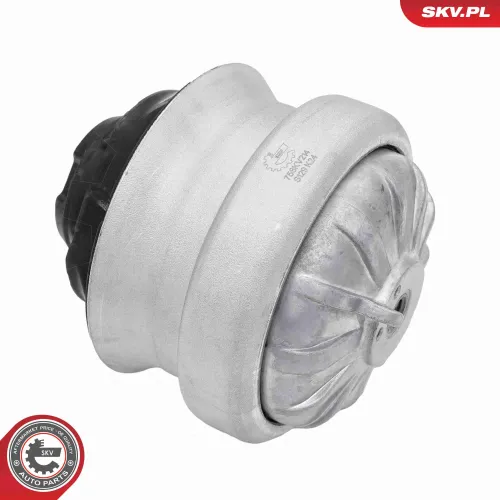 Lagerung, Motor vorne ESEN SKV 75SKV214 Bild Lagerung, Motor vorne ESEN SKV 75SKV214