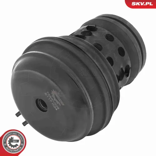 Lagerung, Motor vorne ESEN SKV 75SKV239 Bild Lagerung, Motor vorne ESEN SKV 75SKV239