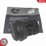 Lagerung, Motor vorne ESEN SKV 75SKV240