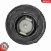 Lagerung, Motor rechts ESEN SKV 75SKV242 Bild Lagerung, Motor rechts ESEN SKV 75SKV242