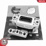 Lagerung, Motor rechts ESEN SKV 75SKV293