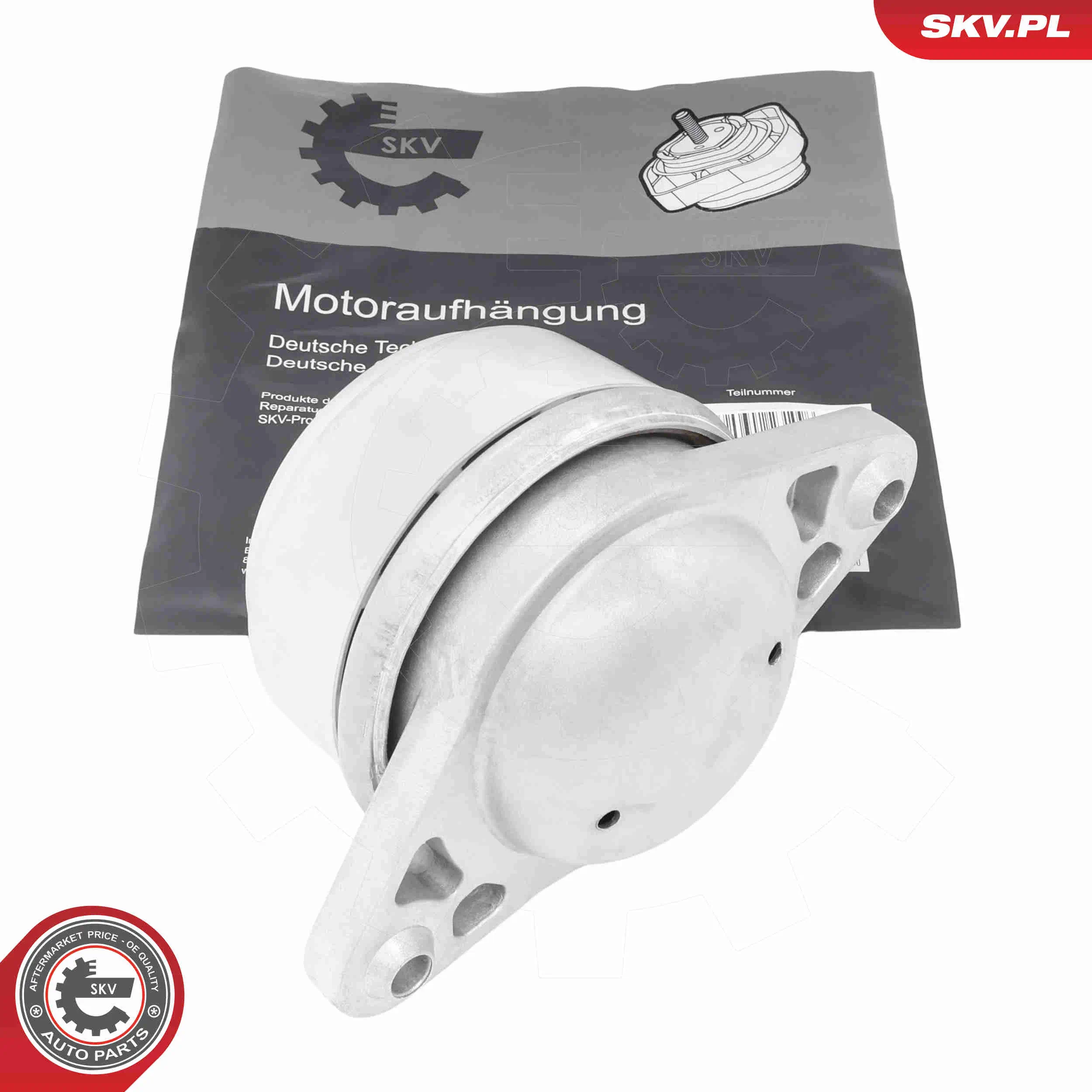 Lagerung, Motor beidseitig ESEN SKV 75SKV323