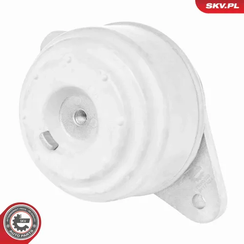 Lagerung, Motor beidseitig ESEN SKV 75SKV323 Bild Lagerung, Motor beidseitig ESEN SKV 75SKV323