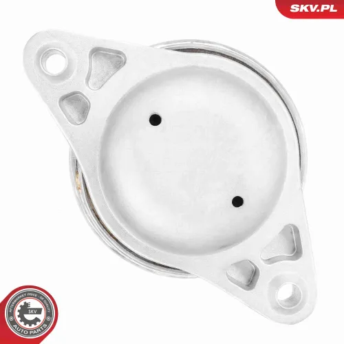 Lagerung, Motor beidseitig ESEN SKV 75SKV323 Bild Lagerung, Motor beidseitig ESEN SKV 75SKV323