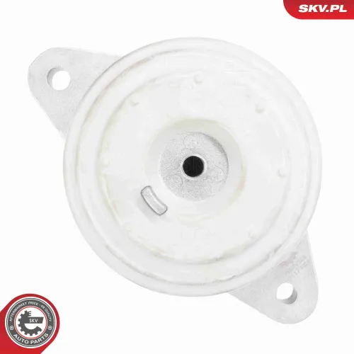 Lagerung, Motor beidseitig ESEN SKV 75SKV323 Bild Lagerung, Motor beidseitig ESEN SKV 75SKV323