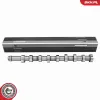 Nockenwelle ESEN SKV 80SKV001 Bild Nockenwelle ESEN SKV 80SKV001