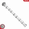 Nockenwelle Einlassseite ESEN SKV 80SKV003 Bild Nockenwelle Einlassseite ESEN SKV 80SKV003