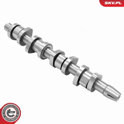 Nockenwelle ESEN SKV 80SKV005 Bild Nockenwelle ESEN SKV 80SKV005