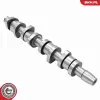 Nockenwelle ESEN SKV 80SKV008 Bild Nockenwelle ESEN SKV 80SKV008