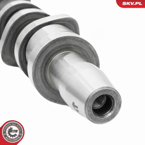 Nockenwelle ESEN SKV 80SKV008 Bild Nockenwelle ESEN SKV 80SKV008