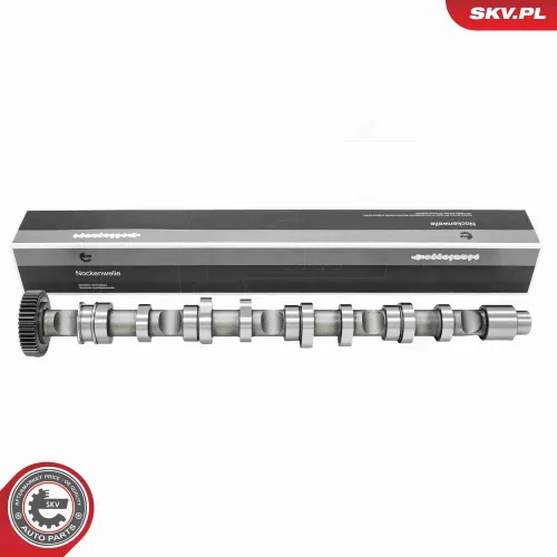 Nockenwelle Auslassseite ESEN SKV 80SKV010 Bild Nockenwelle Auslassseite ESEN SKV 80SKV010