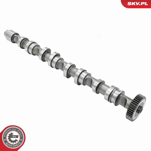 Nockenwelle Auslassseite ESEN SKV 80SKV010 Bild Nockenwelle Auslassseite ESEN SKV 80SKV010