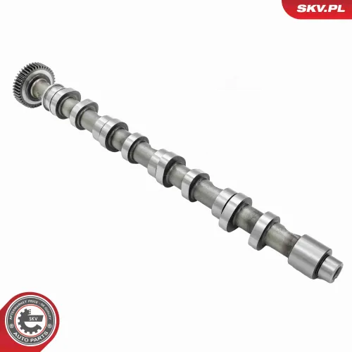 Nockenwelle Auslassseite ESEN SKV 80SKV010 Bild Nockenwelle Auslassseite ESEN SKV 80SKV010