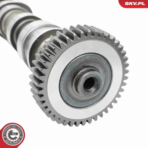 Nockenwelle Auslassseite ESEN SKV 80SKV010 Bild Nockenwelle Auslassseite ESEN SKV 80SKV010